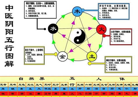 科技五行属什么|不同行业的五行属性，最全分类